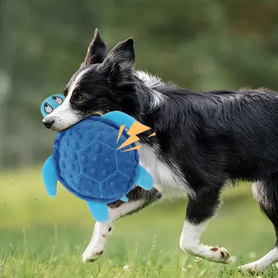 MCBOSON Jouet en peluche pour chien - Tortue, grinçant
