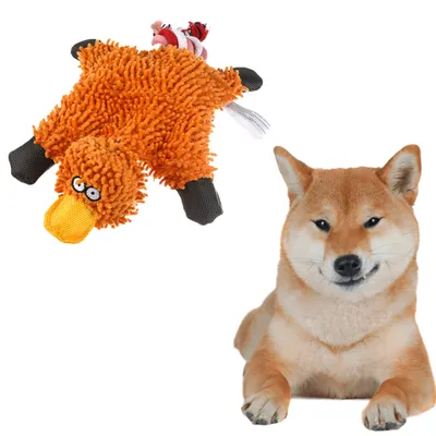 ZenPets Jouet en peluche canard en mèche de balais