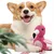 ZenPets Jouet à bruit et à friandises pour animaux de compagnie