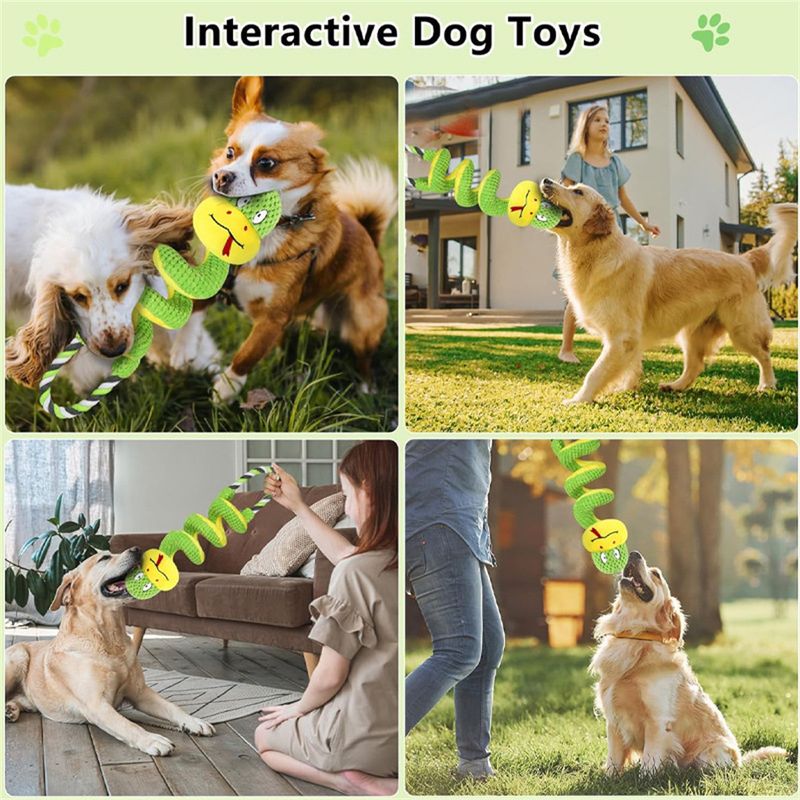 ZenPets Jouet de formation interactif pour chiens