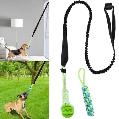 ZenPets Ensembles de jouets à mâcher