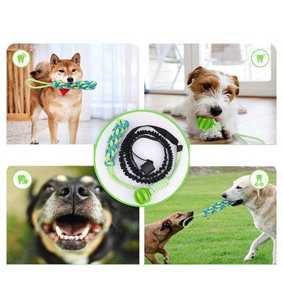 ZenPets Ensembles de jouets à mâcher