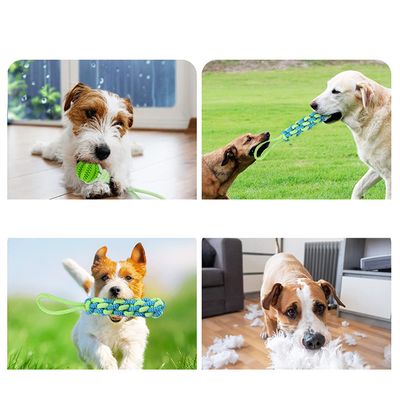 ZenPets Ensembles de jouets à mâcher