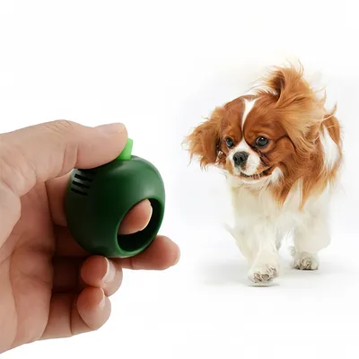ZenPets Rattle pour entraînement d'animaux en forme de pomme
