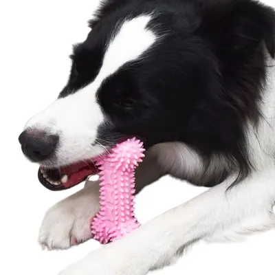 ZenPets Os de dentition rose pour chien