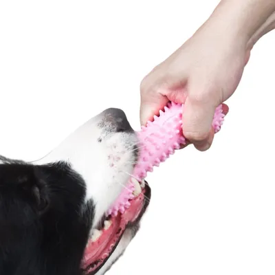 ZenPets Os de dentition rose pour chien