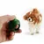ZenPets Rattle pour entraînement d'animaux en forme de pomme