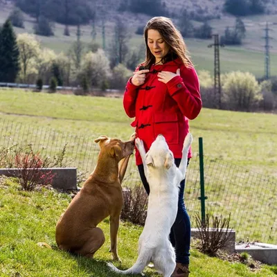 IntiMeg Clicker de dressage pour chien