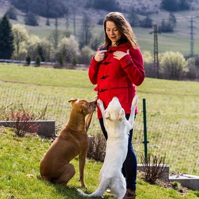 IntiMeg Clicker de dressage pour chien