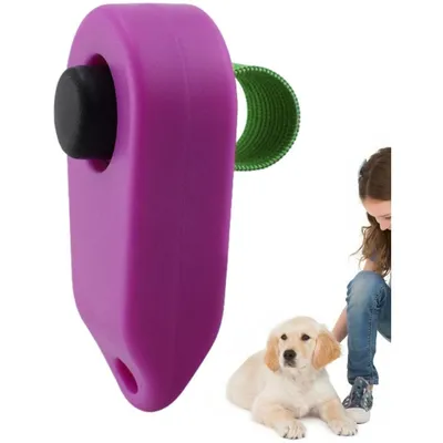 IntiMeg Clicker de dressage pour chien