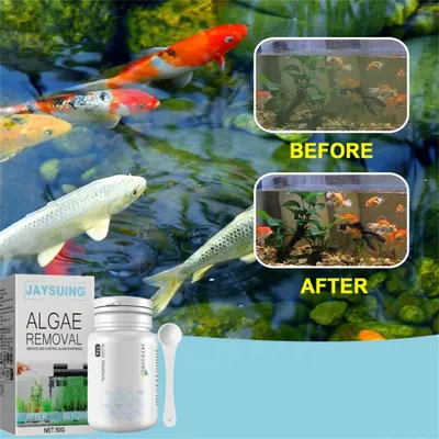 ZenPets Agent anti-mousse et anti-algue pour aquarium
