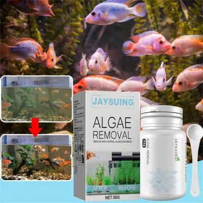 ZenPets Agent anti-mousse et anti-algue pour aquarium