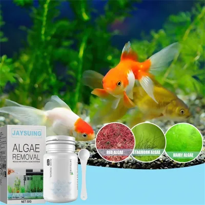 ZenPets Agent anti-mousse et anti-algue pour aquarium