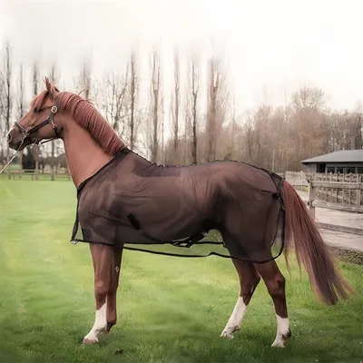 ZenPets Manteau anti-moustiques pour chevaux d'été