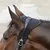 ZenPets Masque anti-moustiques pour cheval ZenPets Masque anti-moustiques pour cheval