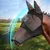 ZenPets Masque anti-moustiques pour cheval ZenPets Masque anti-moustiques pour cheval