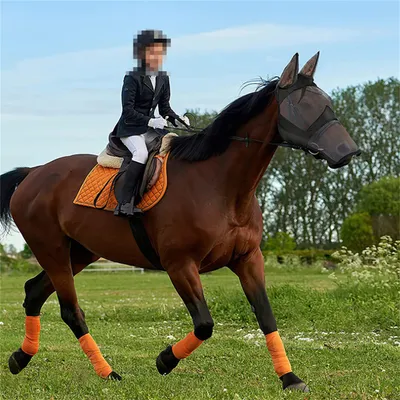 ZenPets Masque anti-moustiques pour cheval ZenPets Masque anti-moustiques pour cheval