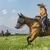 ZenPets Masque anti-moustiques pour cheval ZenPets Masque anti-moustiques pour cheval