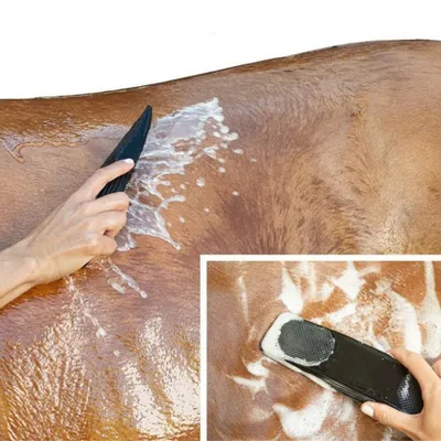 ZenPets Brosses multifonctionnelles pour chevaux ZenPets Brosses multifonctionnelles pour chevaux