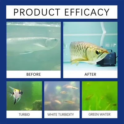 ZenPets Agent purificateur d'eau pour aquarium
