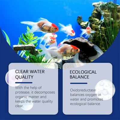 ZenPets Agent purificateur d'eau pour aquarium