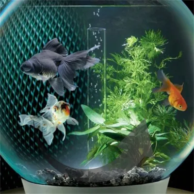 ZenPets Agent purificateur d'eau pour aquarium