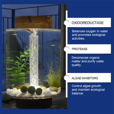 ZenPets Agent purificateur d'eau pour aquarium