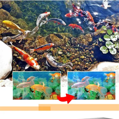 ZenPets Pastilles déchlorantes pour bassins et aquariums