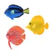 IntiMeg Poisson artificiel pour aquarium
