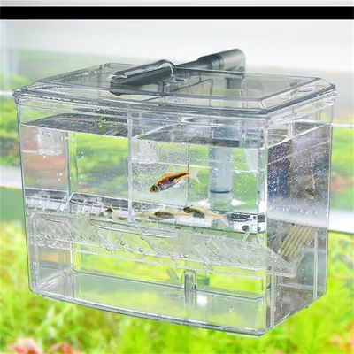 Bassin d'élevage pour aquarium IntiMeg