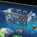 Boîte couveuse IntiMeg pour aquarium