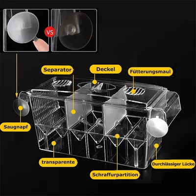 Boîte couveuse IntiMeg pour aquarium