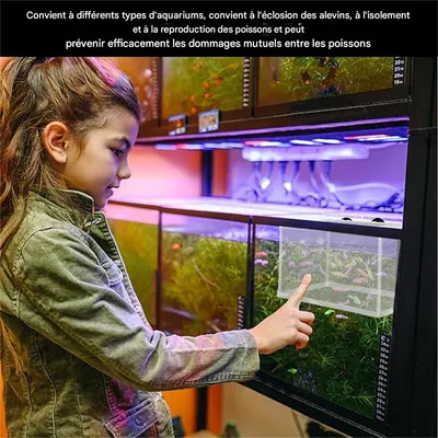 IntiMeg Filet d'isolation pour aquarium