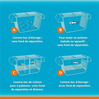 Incubateur de poissons IntiMeg