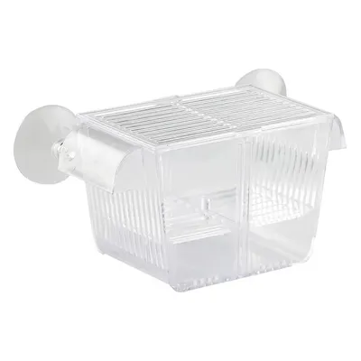 Incubateur de poissons IntiMeg Incubateur de poissons IntiMeg