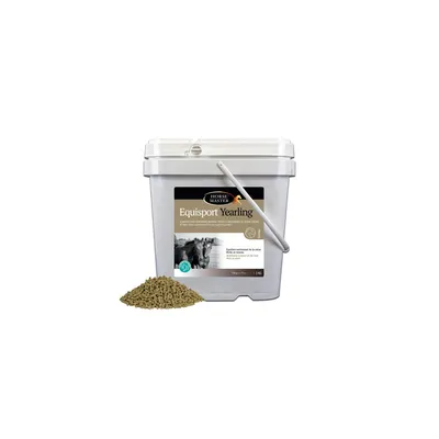 HORSE MASTER - EQUISPORT YEARLING HORSE MASTER - EQUISPORT YEARLING