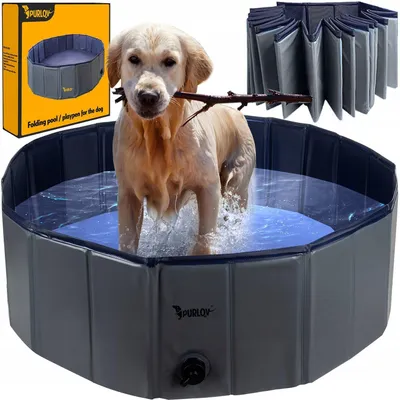 Piscine pliante pour chien