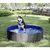 Piscine pliante pour chien
