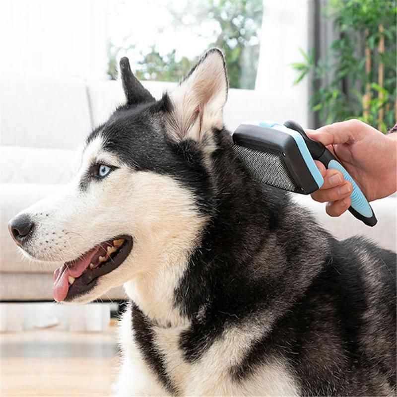 Brosse pour animaux de compagnie à pointes rétractables
