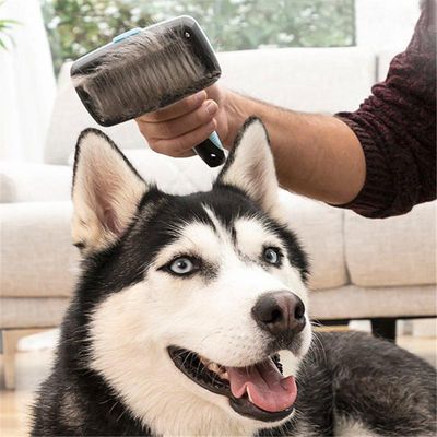Brosse pour animaux de compagnie à pointes rétractables