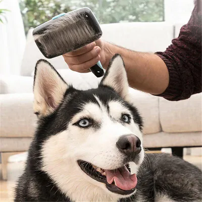 Brosse pour animaux de compagnie à pointes rétractables