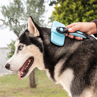 Brosse pour animaux de compagnie à pointes rétractables