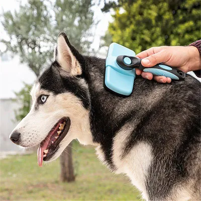 Brosse pour animaux de compagnie à pointes rétractables