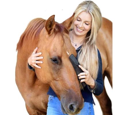 Brosse Multifonctionnelle pour Animaux