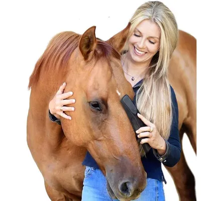 Brosse Multifonctionnelle pour Animaux