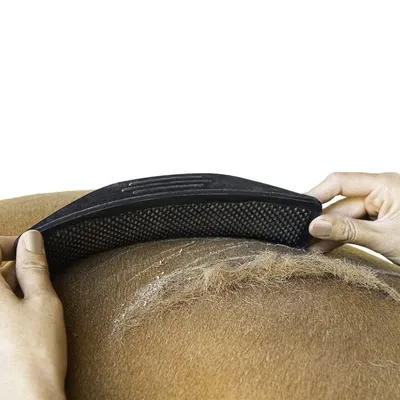 Brosse Multifonctionnelle pour Animaux