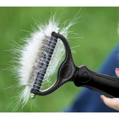 Tondeuse et peigne à cheveux pour chien