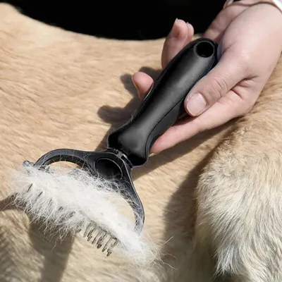 Tondeuse et peigne à cheveux pour chien