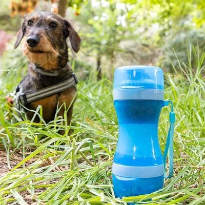 Bouteille d'eau et bol de nourriture pour chien pratique