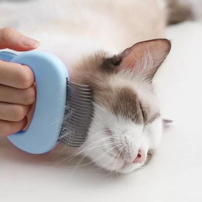 Peigne à animaux design chat